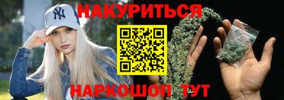 гидропоника Будённовск