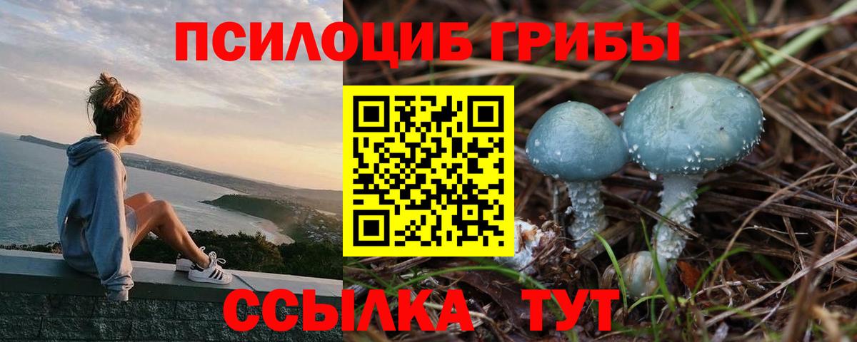 Краснокаменск  Псилоцибиновые грибы Magic Shrooms  Вход с VPN 